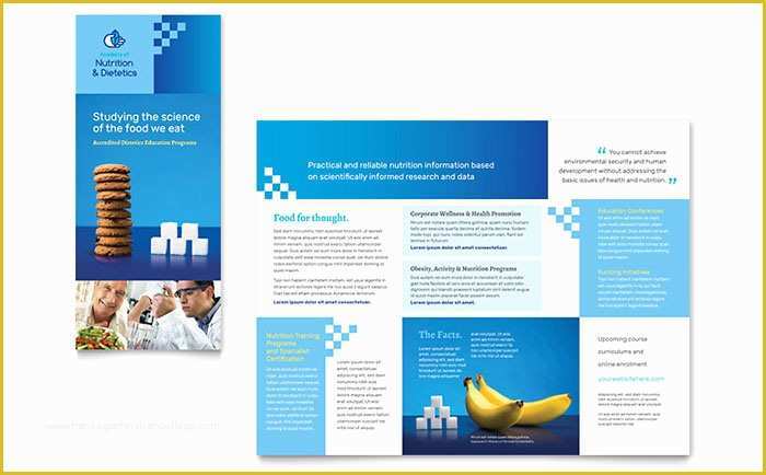 Free Tri Fold Brochure Template Word Of Dietitian Tri Fold Brochure Template Word & Publisher