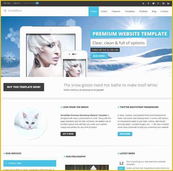 Free Web Templates Bootstrap Of 46 Responsive Bootstrap themes & Templates