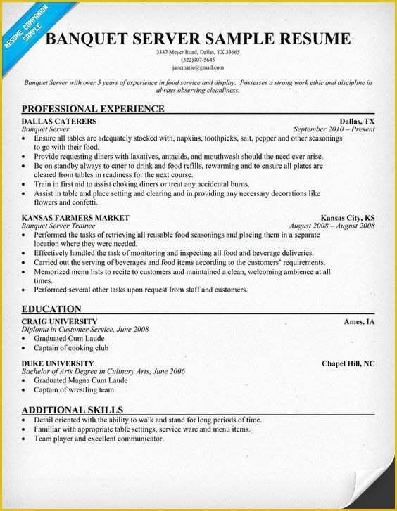 Fun Resume Templates Free Of Resume Examples Fun and Banquet On Pinterest