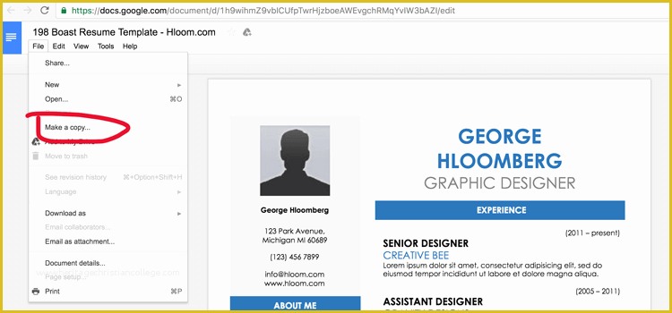 Google Docs Resume Template Free Of Google Docs Resume Template