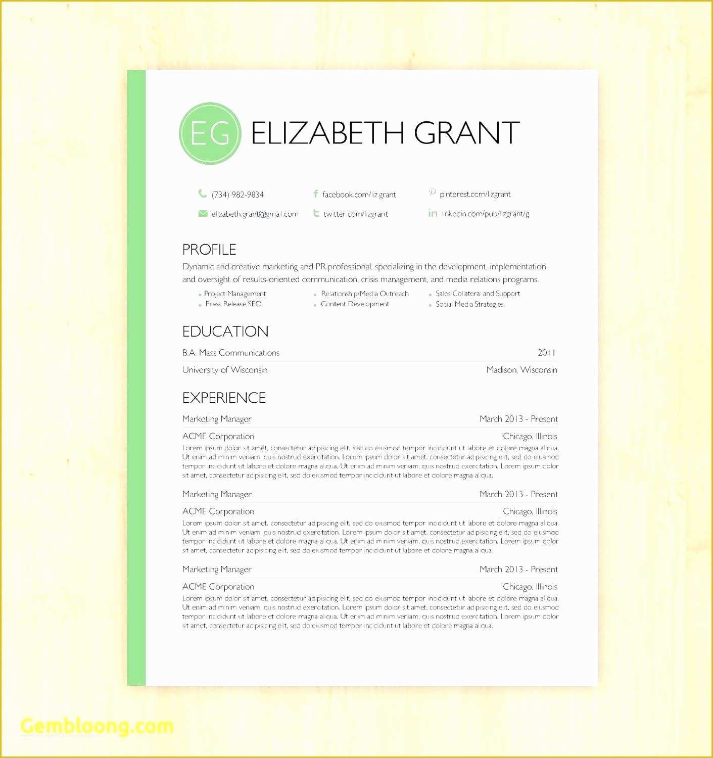 Google Docs Resume Template Free Of Resume Google Resume Templates