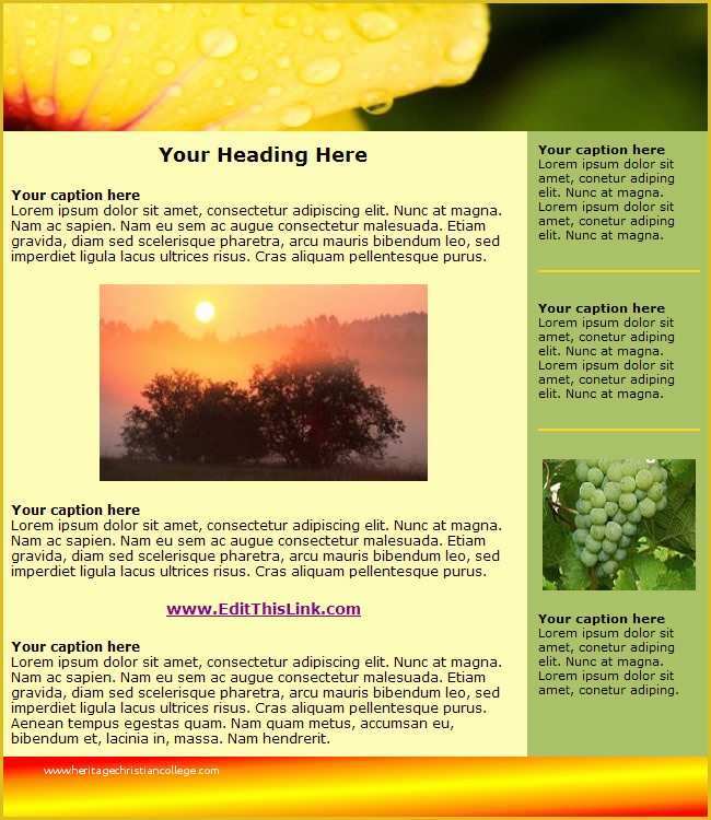 Html Newsletter Templates Free Download Of Free HTML Newsletter Templates Heavensgraphix
