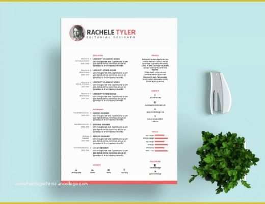 Indesign Resume Template Free Download Of Free Indesign Templates