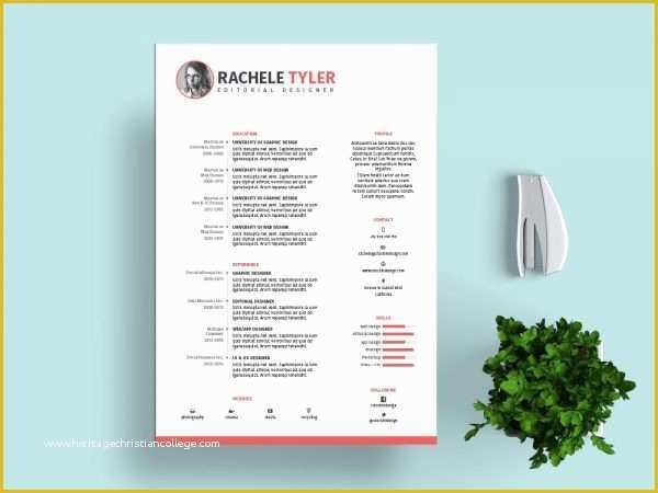 45 Indesign Resume Template Free Download