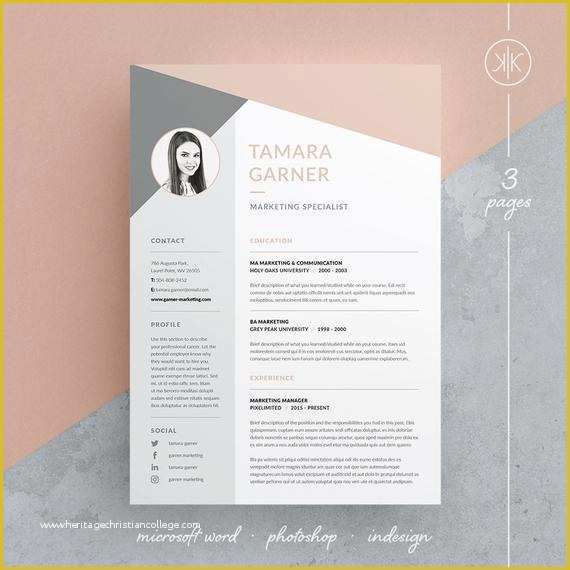 Indesign Resume Template Free Download Of Tamara Resume Cv Template Word Shop Indesign