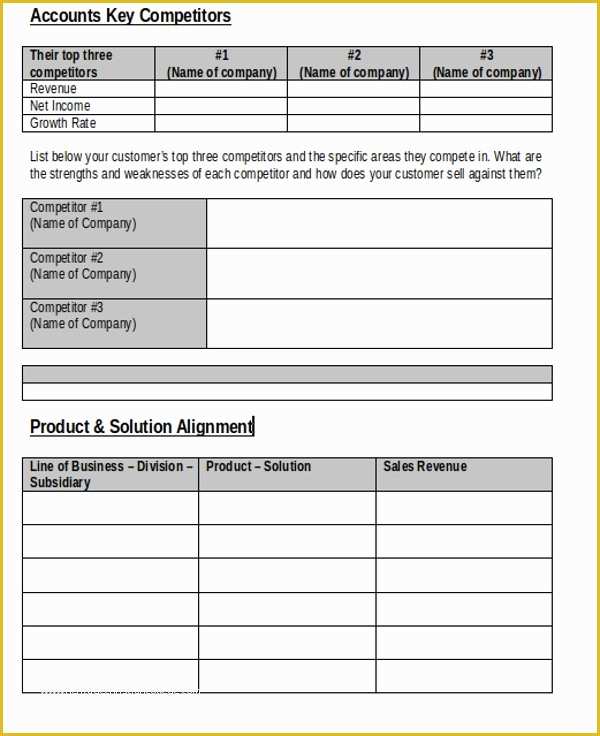 Key Account Plan Template Free Download Of 13 Account Plan Templates