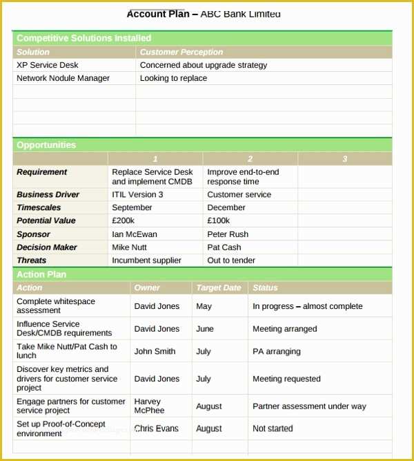 Key Account Plan Template Free Download Of 13 Account Plan Templates