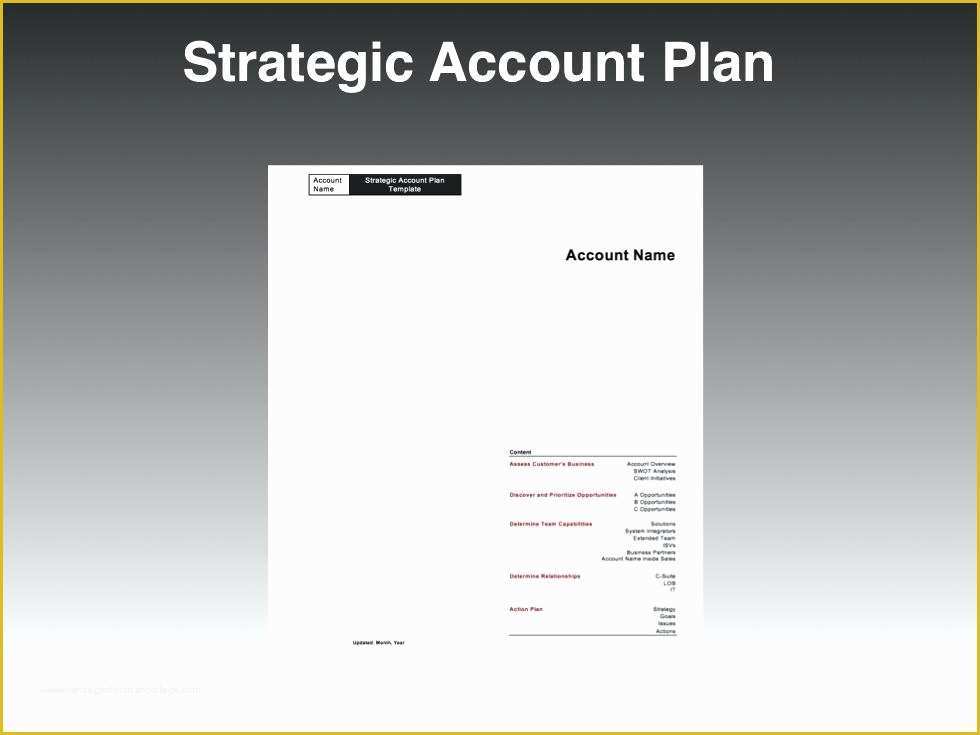 Key Account Plan Template Free Download Of Account Plan Template