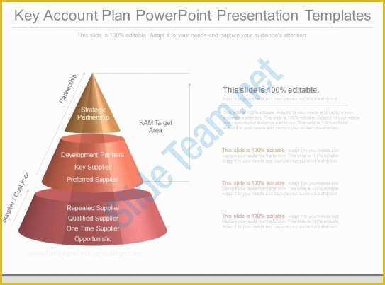 Key Account Plan Template Free Download Of Custom Key Account Plan Powerpoint Presentation Templates