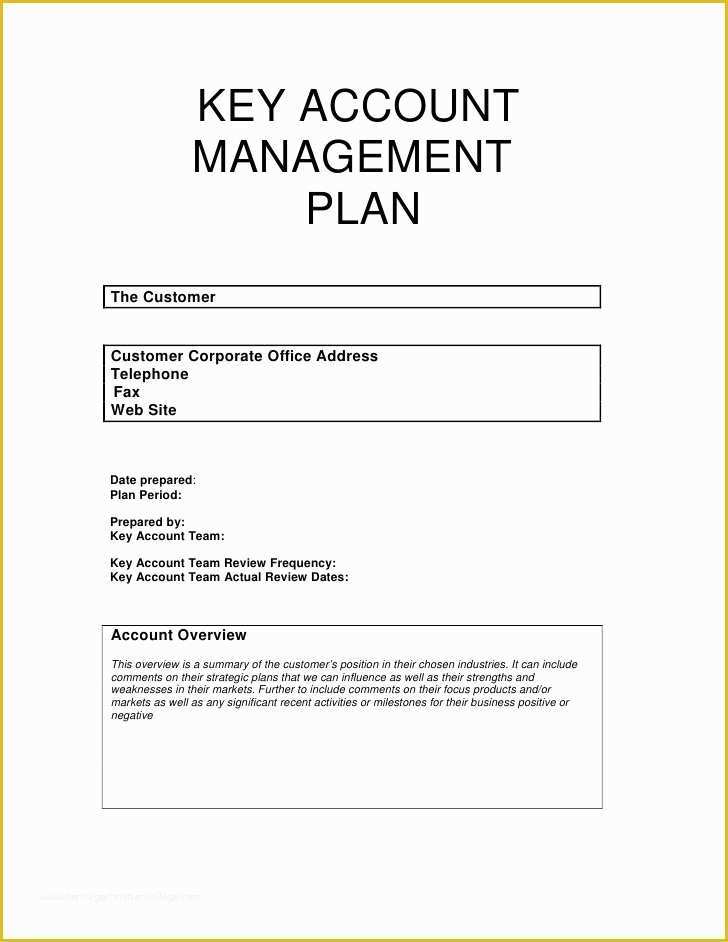 Key Account Plan Template Free Download Of Key Account Management Plan