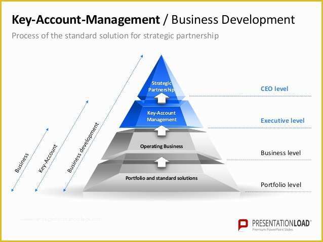 Key Account Plan Template Free Download Of Key Account Management Ppt Slide Template