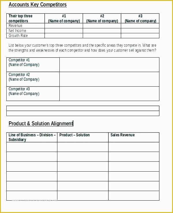 Key Account Plan Template Free Download Of Key Account Management Template Key Account Management