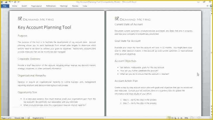 Key Account Plan Template Free Download Of Key Account Plan Template Free Download Admirably Action