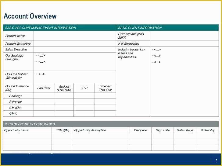 Key Account Plan Template Free Download Of Key Account Plan Template Key Account Plan Template Excel