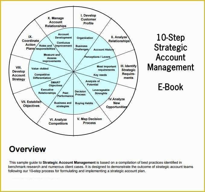 Key Account Plan Template Free Download Of Strategic Account Plan Template 8 Free Word Pdf