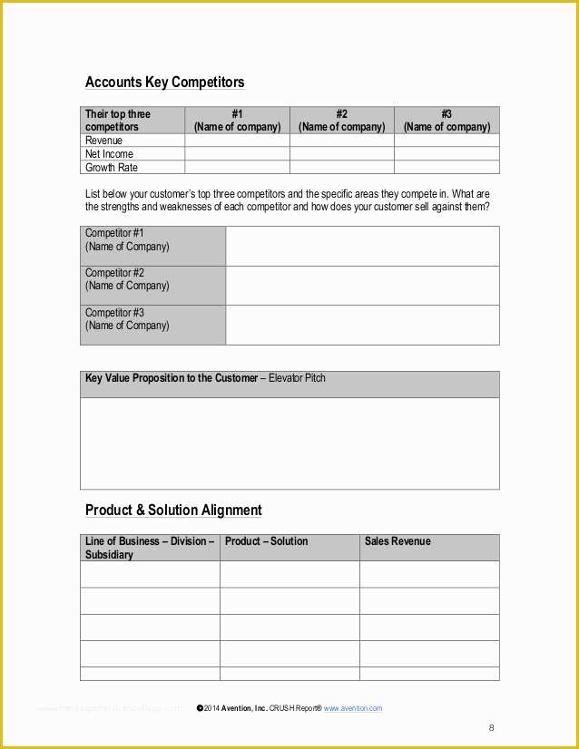 Key Account Plan Template Free Download Of Strategic Account Plan Template