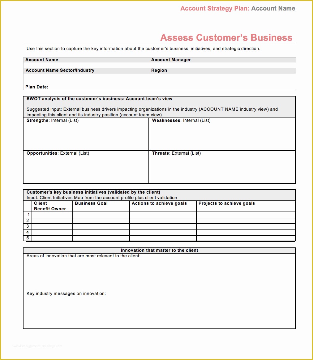 Key Account Plan Template Free Download Of Strategic Account Plan Template