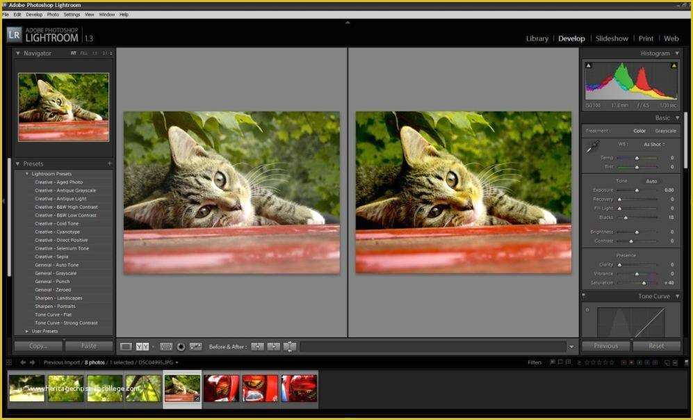 Lightroom Slideshow Templates Free Download Of Adobe Lightroom 3 Download Desertmake