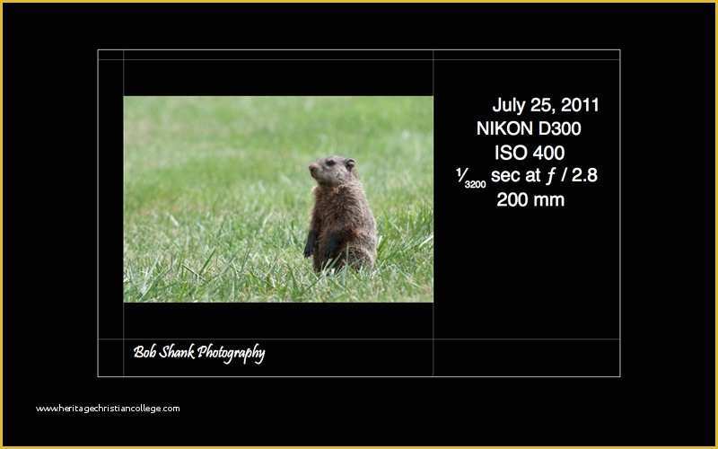 Lightroom Slideshow Templates Free Download Of Free Lightroom Slideshow Templates