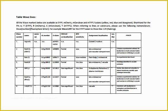 Line Sheet Template Free Of 10 Line Sheet Templates Free Sample Example format