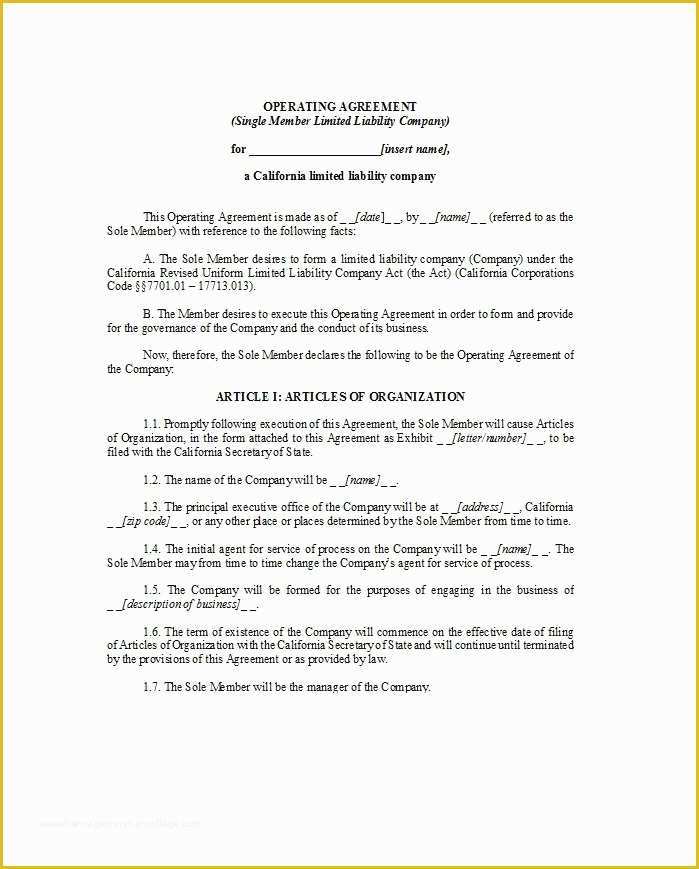 Llc Operating Agreement Template Free Of 30 Free Professional Llc Operating Agreement Templates