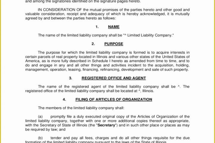 Llc Operating Agreement Template Free Of Llc Operating Agreement Template 6 Free Templates In Pdf