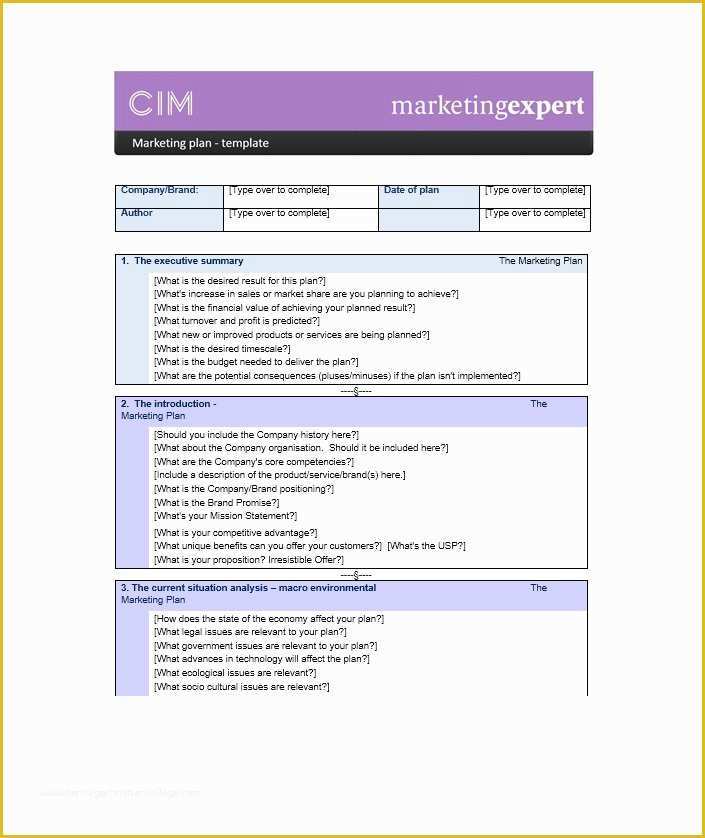 Marketing Plan Template Free Of 33 Free Professional Marketing Plan Templates Free