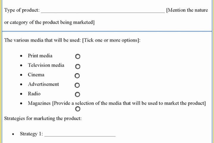 Marketing Plan Template Free Of Plan Template for Marketing Sample Of Marketing Plan