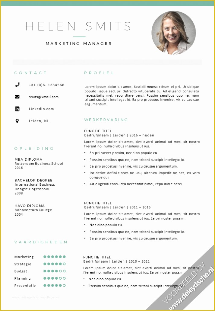 Medical Cv Template Free Download Of Voorbeeld Cv