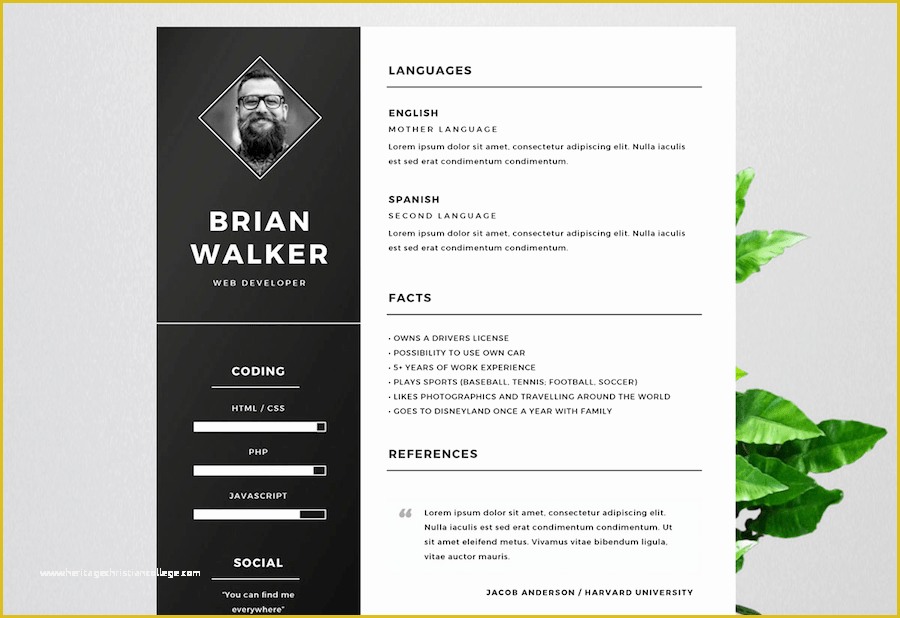 Microsoft Word Free Templates for Resumes Of 65 Eye Catching Cv Templates for Ms Word