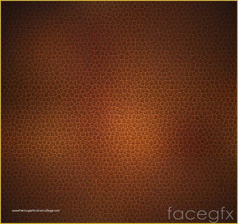 Modeling Website Templates Free Download Of Creative Leather Texture Background Vector – Over Millions