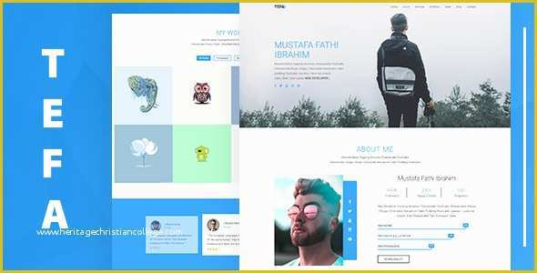 One Page Portfolio Template Free Download Of Tefa – E Page Portfolio Template Zip – Download Nulled
