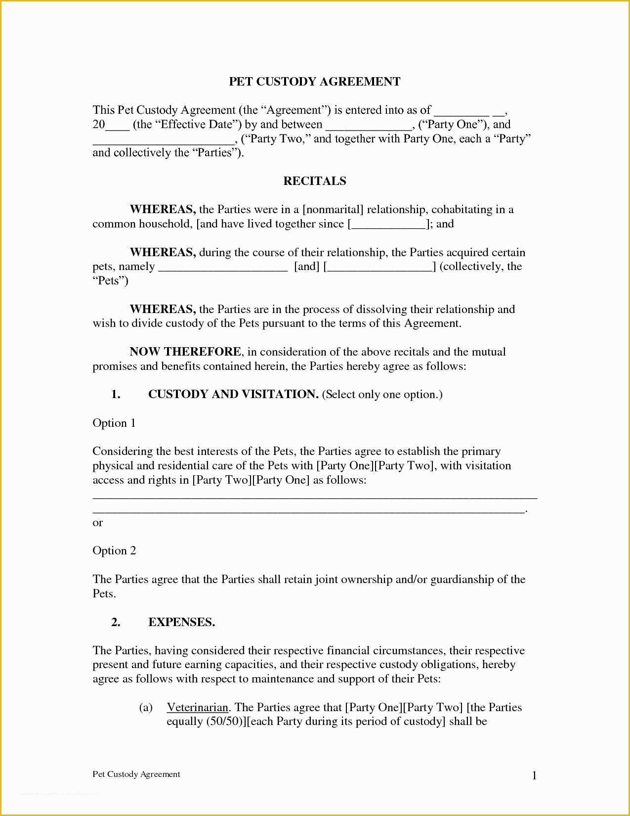 Parenting Agreement Template Free Of Notarized Custody Agreement Template Beepmunk