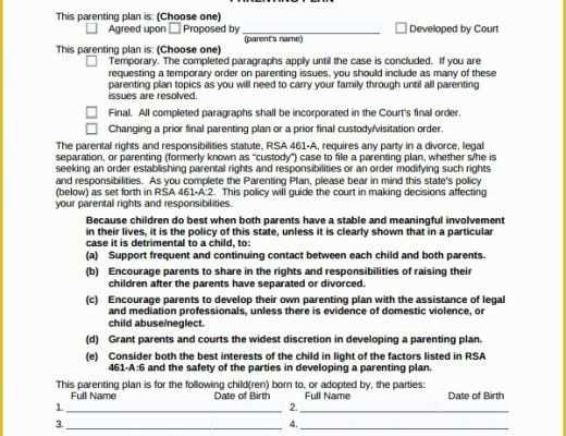 Parenting Agreement Template Free Of Sample Parenting Plan Template 8 Free Documents In Pdf