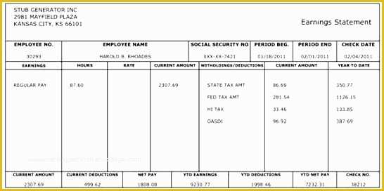 Pay Stub Template Word Document Free Of 10 Payroll Check Template Excel Exceltemplates