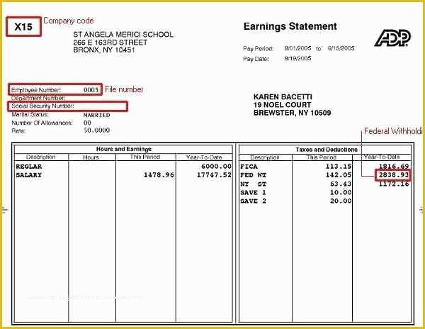 Pay Stub Template Word Document Free Of Free Paystub Template