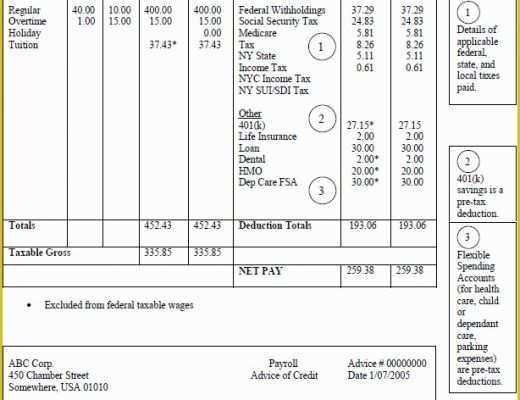 Pay Stub Template Word Document Free Of Pay Stub Template Word Document