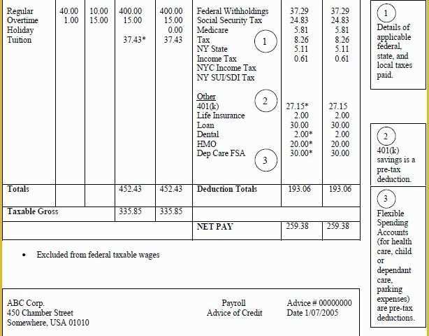 Pay Stub Template Word Document Free Of Pay Stub Template Word Document