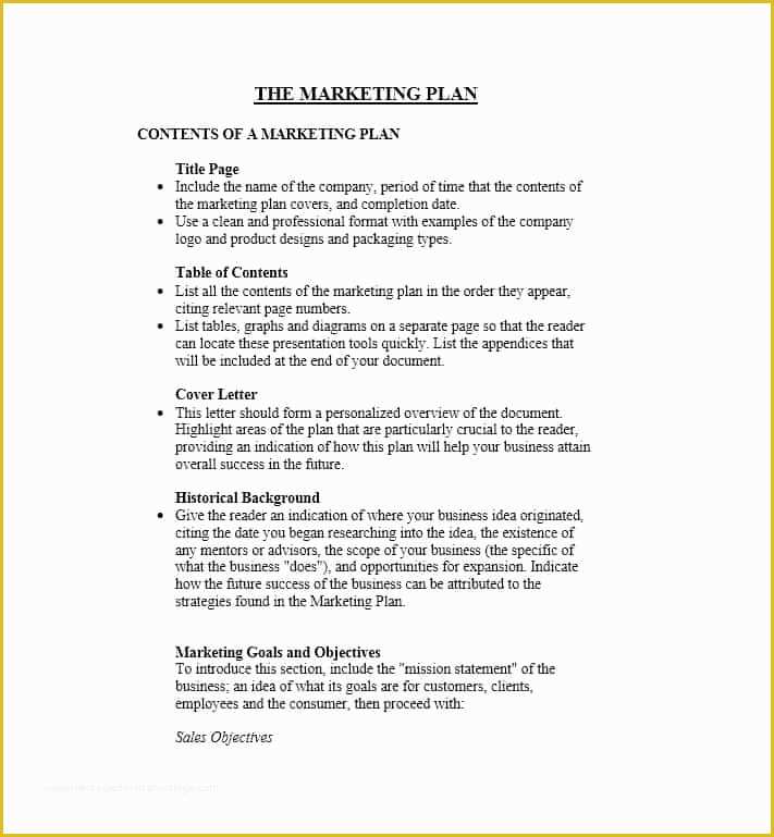 Personal Marketing Plan Template Free Of 30 Professional Marketing Plan Templates Template Lab