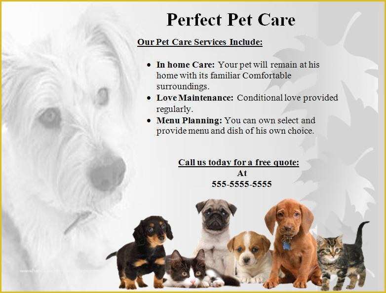 Pet Sitting Templates Free Of 10 Best Of Pet Sitter Flyer Samples Pet Sitting