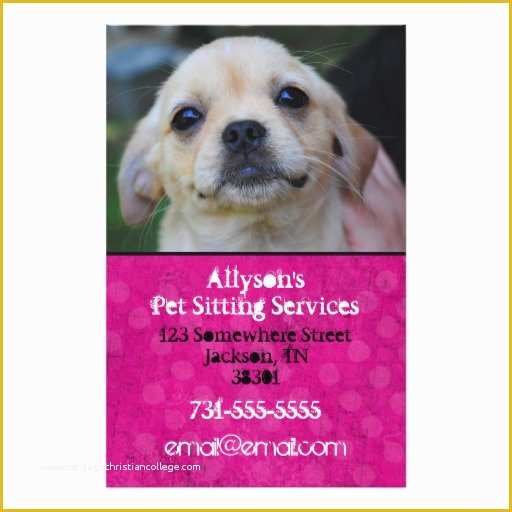 Pet Sitting Templates Free Of Bright Pink Background Pet Sitting Flyers