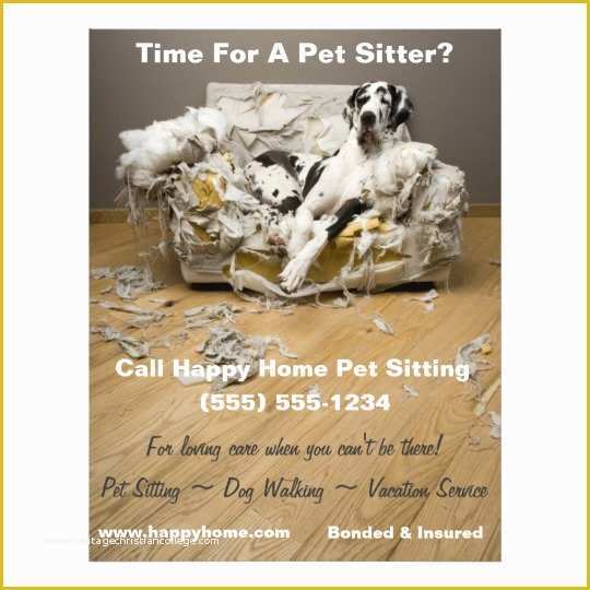 Pet Sitting Templates Free Of Great Dane Pet Sitting Flyer