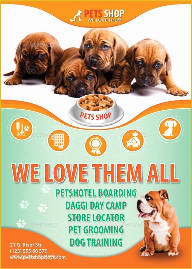 Pet Sitting Templates Free Of Lost Pet Flyer Template asafonggecco Pet Flyer Templates