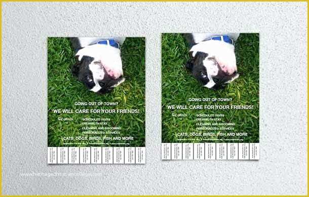 Pet Sitting Templates Free Of Pet Sitting Flyer Template