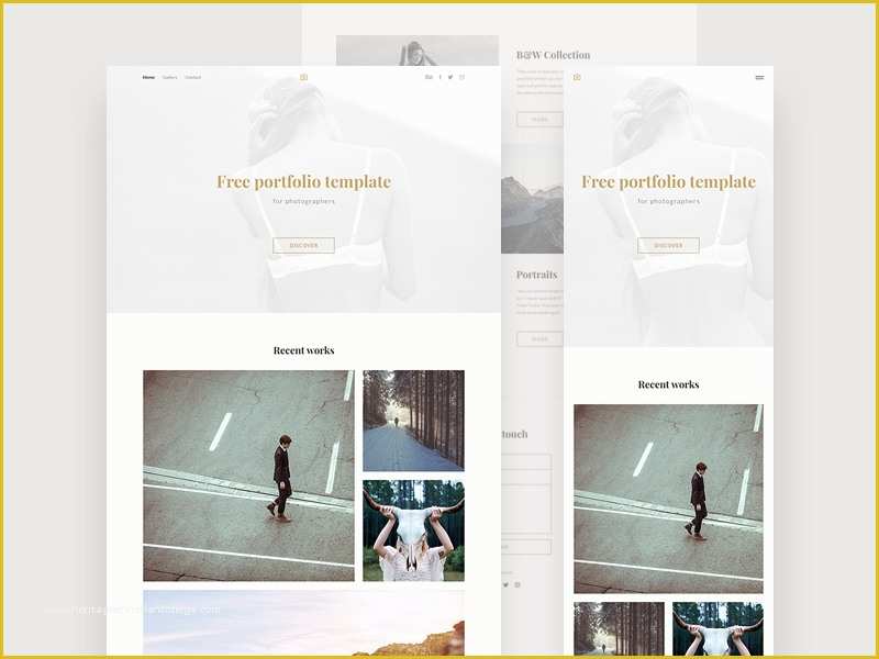 Portfolio Templates Psd Free Download Of Graphy Portfolio Template Freebie Download