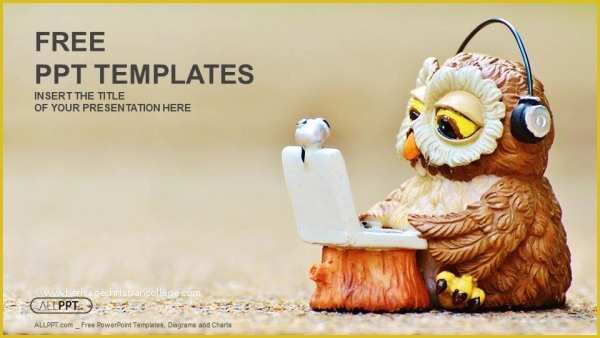 Powerpoint Templates Free Download 2016 Of Owl Reads the Information On the Laptop Powerpoint Template