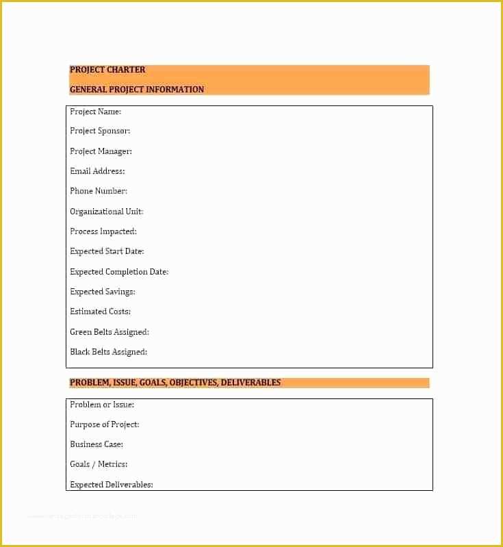 Project Charter Template Excel Free Of Project Charter Example Word Template and Templates