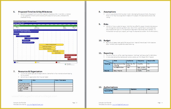 Project Charter Template Excel Free Of Project Charter Templates