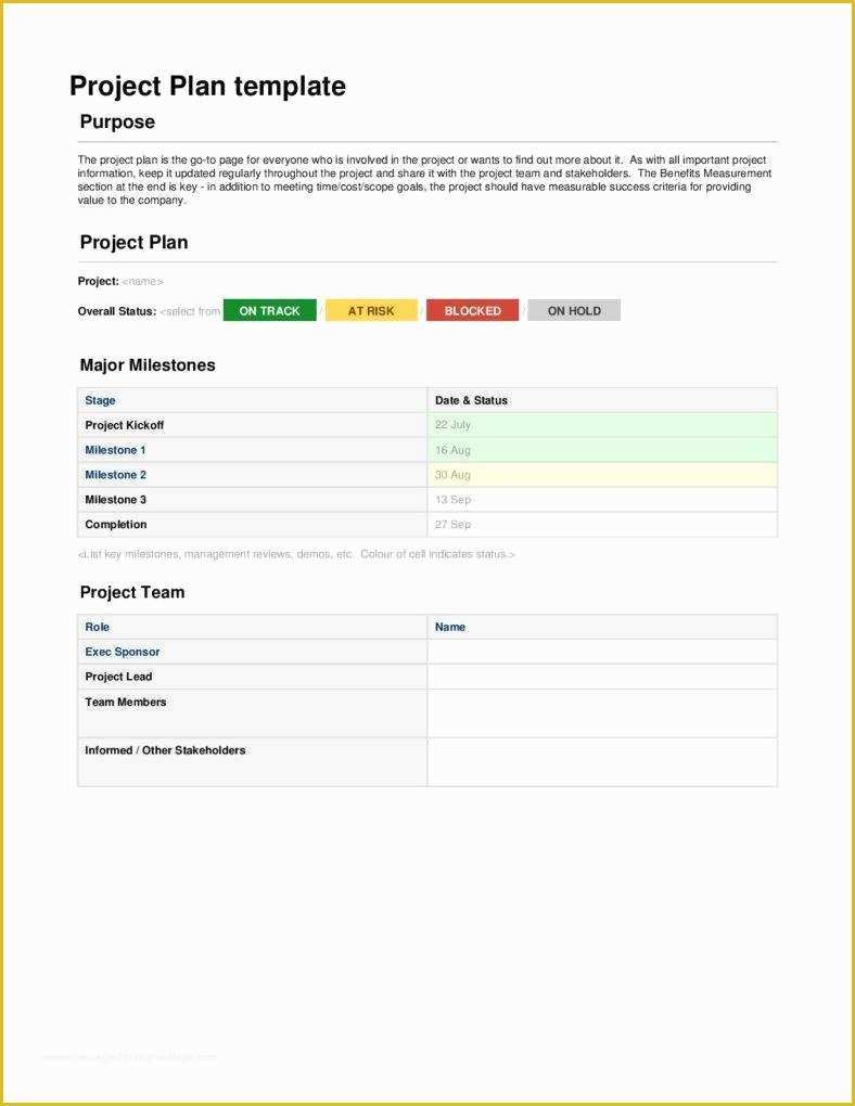 Project forms Free Templates Of 5 Secrets In Creating A Successful Project Plan Doc