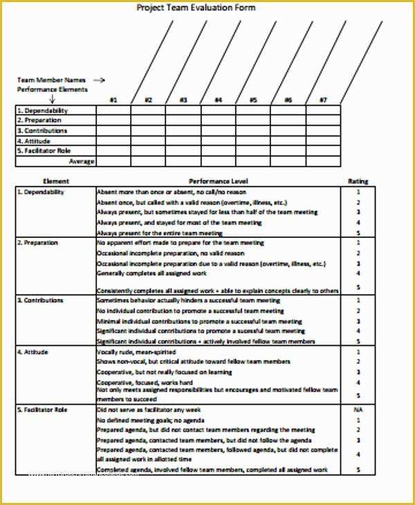 Project forms Free Templates Of 9 Sample Project Evaluation forms